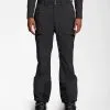 The North Face Men's Chakal Pants